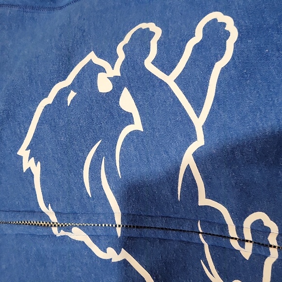 Victoria's Secret PINK Detroit Lions Hoodie - Picture 12 of 13